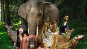 Kebun Binatang Ragunan