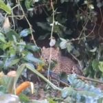 Screenshot_2026-04-03-14-44-19-83_1c337646f29875672b5a61192b9010f9