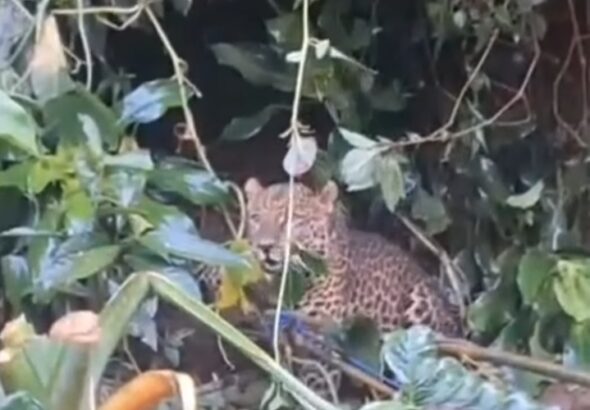 Screenshot_2026-04-03-14-44-19-83_1c337646f29875672b5a61192b9010f9