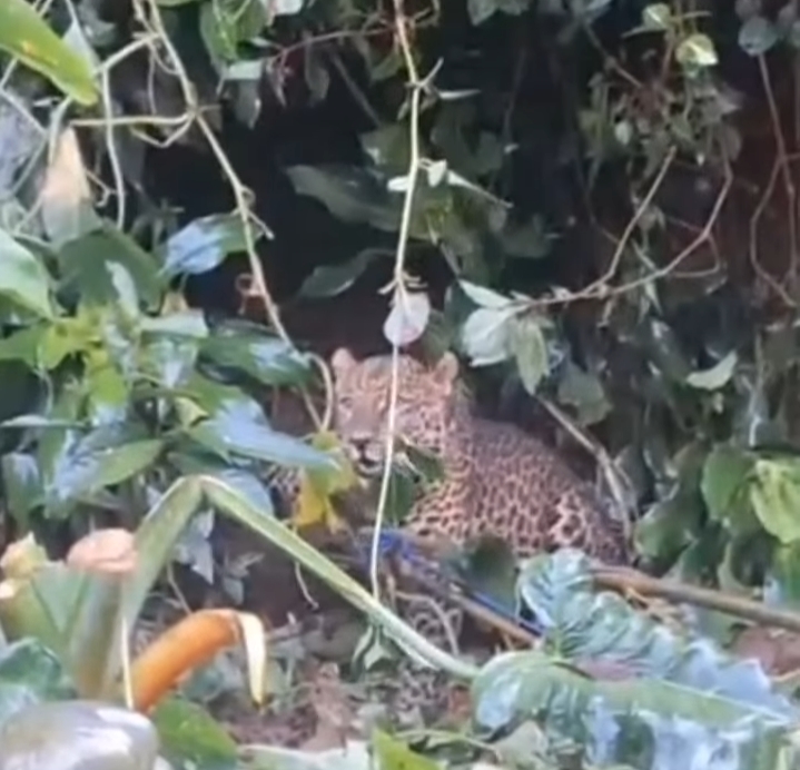 Screenshot_2026-04-03-14-44-19-83_1c337646f29875672b5a61192b9010f9